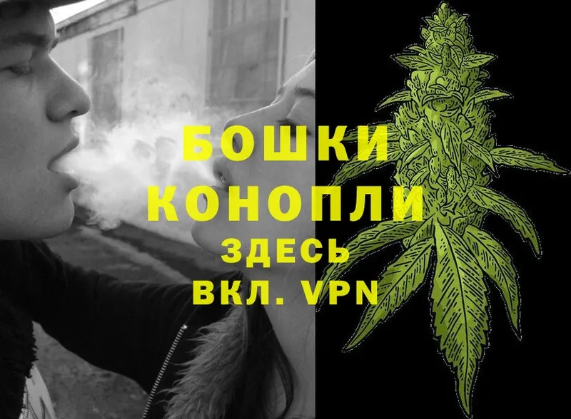 Шишки марихуана Bruce Banner  Вяземский 